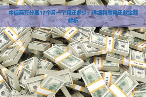 中信两万分期12个月一个月还多少：详细利息和还款金额解析