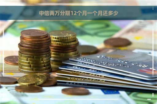 中信两万分期12个月一个月还多少