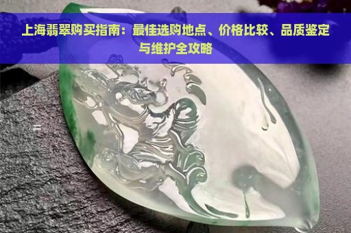 上海翡翠购买指南：最佳选购地点、价格比较、品质鉴定与维护全攻略