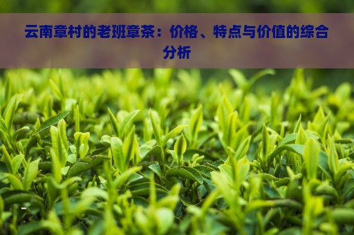 云南章村的老班章茶：价格、特点与价值的综合分析