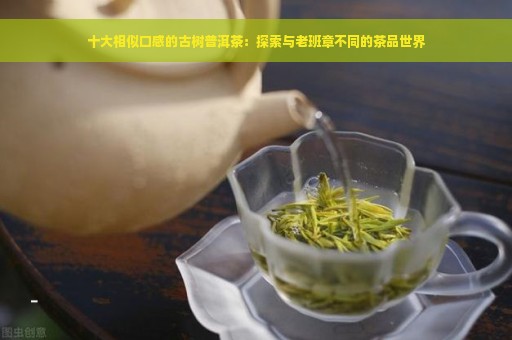 十大相似口感的古树普洱茶：探索与老班章不同的茶品世界