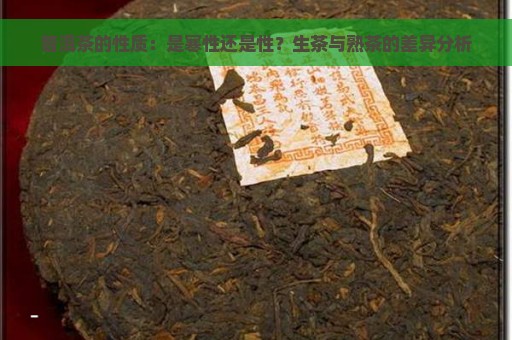 普洱茶的性质：是寒性还是性？生茶与熟茶的差异分析