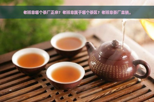 老班章哪个茶厂正宗？老班章属于哪个茶区？老班章茶厂直销。