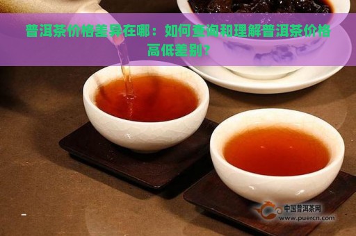 普洱茶价格差异在哪：如何查询和理解普洱茶价格高低差别？