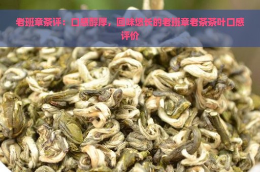 老班章茶评：口感醇厚，回味悠长的老班章老茶茶叶口感评价