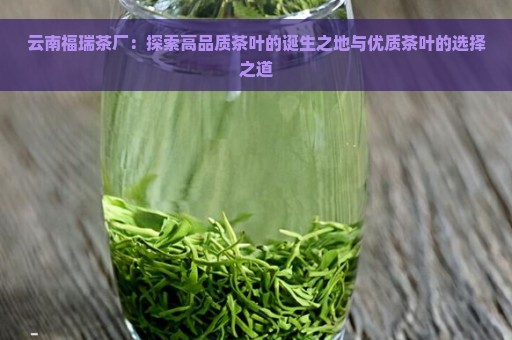 云南福瑞茶厂：探索高品质茶叶的诞生之地与优质茶叶的选择之道