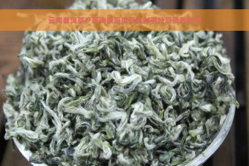 云南普洱茶产区海拔高度及其对茶叶品质的影响