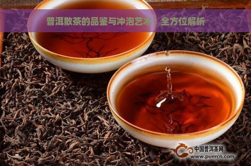 普洱散茶的品鉴与冲泡艺术：全方位解析