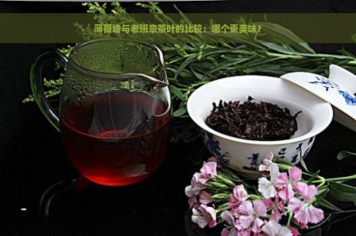 薄荷塘与老班章茶叶的比较：哪个更美味？