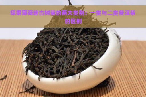 探索薄荷塘古树茶的两大类别：一类与二类普洱茶的区别