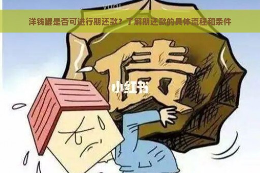 洋钱罐是否可进行期还款？了解期还款的具体流程和条件