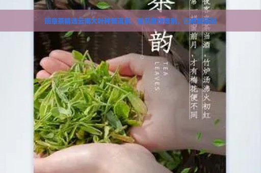 班章茶精选云南大叶种普洱茶，雀开屏饼焙制，口感醇厚回