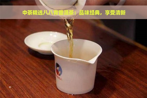 中茶精选八八青普洱茶：品味经典，享受清新