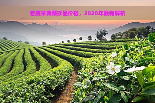 老班章典藏珍品价格，2020年最新解析