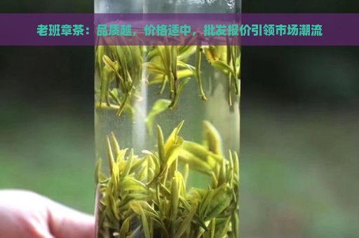 老班章茶：品质越，价格适中，批发报价引领市场潮流