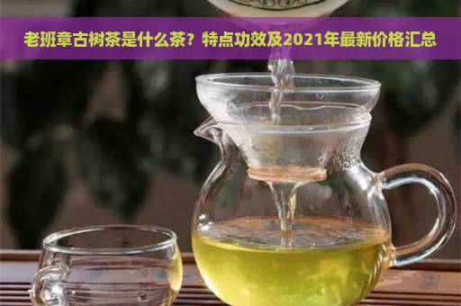 老班章古树茶是什么茶？特点功效及2021年最新价格汇总