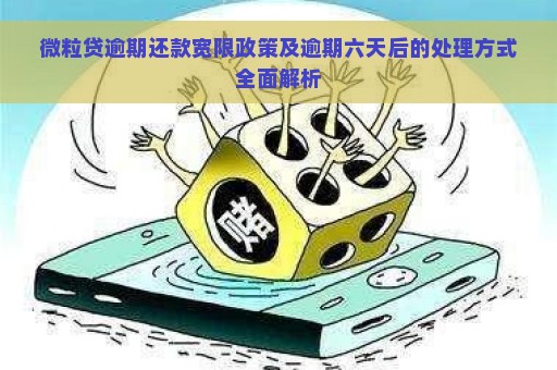 微粒贷逾期还款宽限政策及逾期六天后的处理方式全面解析