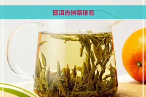 普洱古树茶排名