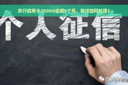 农行信用卡20000逾期5个月，我该如何处理？