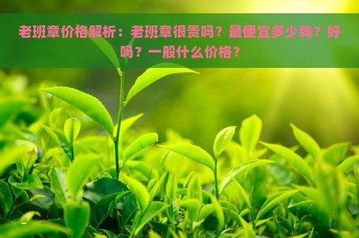 老班章价格解析：老班章很贵吗？最便宜多少钱？好吗？一般什么价格？