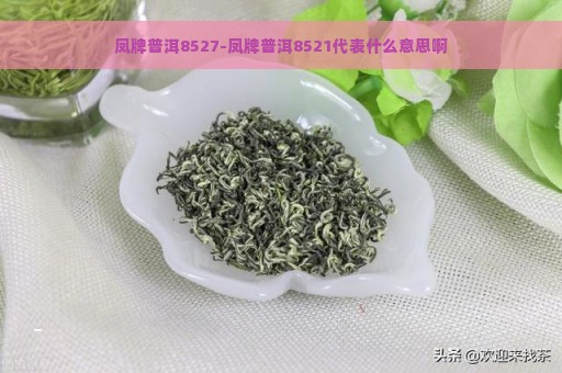 凤牌普洱8527-凤牌普洱8521代表什么意思啊