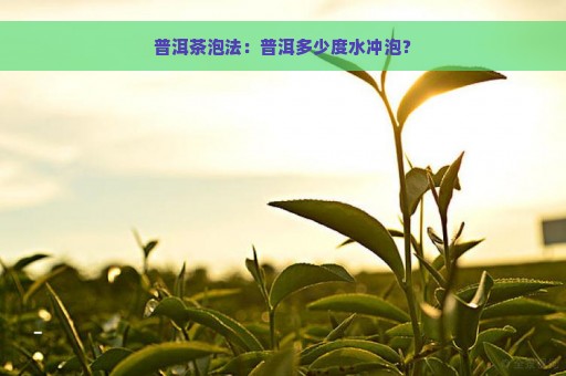 普洱茶泡法：普洱多少度水冲泡？