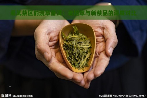 易武茶区的班章普洱：老班章与新茶品的深度对比