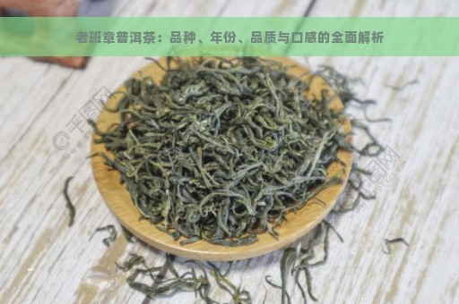 老班章普洱茶：品种、年份、品质与口感的全面解析