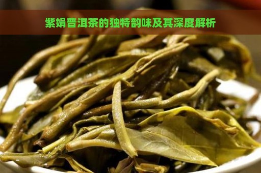 紫娟普洱茶的独特韵味及其深度解析