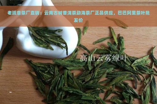 老班章茶厂直销：云南古树普洱茶勐海茶厂正品供应，巴巴阿里茶叶批发价