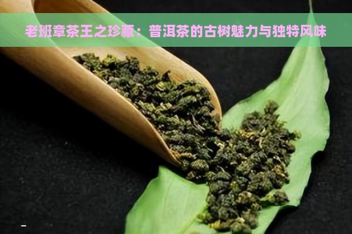 老班章茶王之珍藏：普洱茶的古树魅力与独特风味