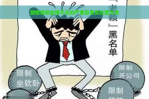 甜橙借款逾期不还的严重后果及处理方法