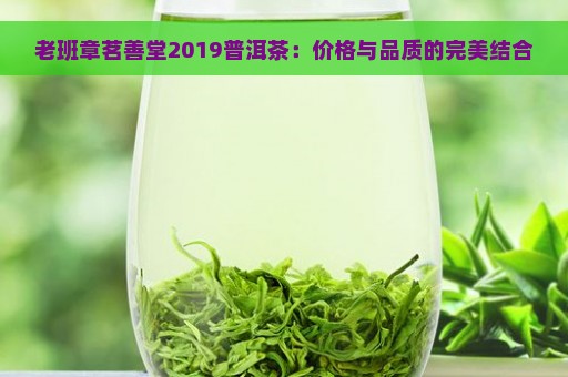 老班章茗善堂2019普洱茶：价格与品质的完美结合