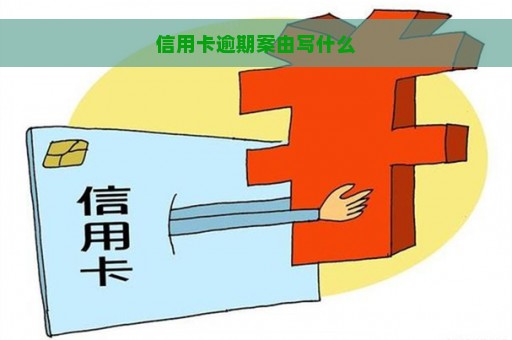 信用卡逾期案由写什么