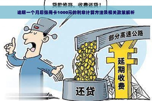 逾期一个月后信用卡1000元的利息计算方法及相关政策解析