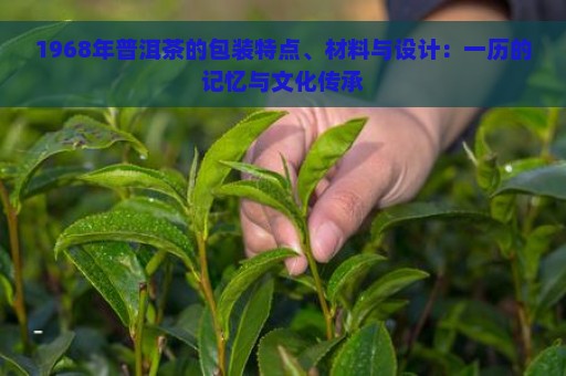 1968年普洱茶的包装特点、材料与设计：一历的记忆与文化传承