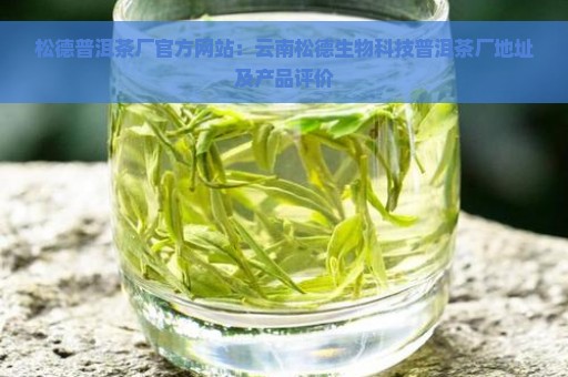 松德普洱茶厂官方网站：云南松德生物科技普洱茶厂地址及产品评价