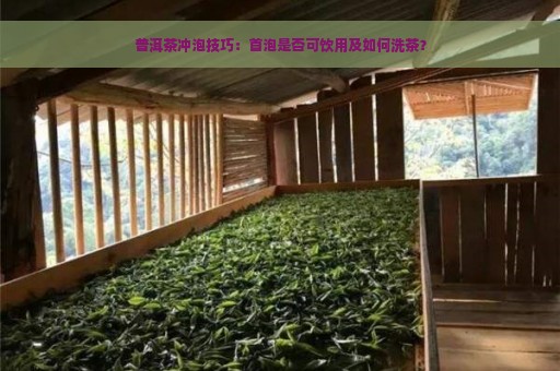 普洱茶冲泡技巧：首泡是否可饮用及如何洗茶？