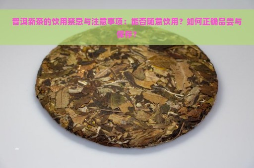 普洱新茶的饮用禁忌与注意事项：能否随意饮用？如何正确品尝与保存？