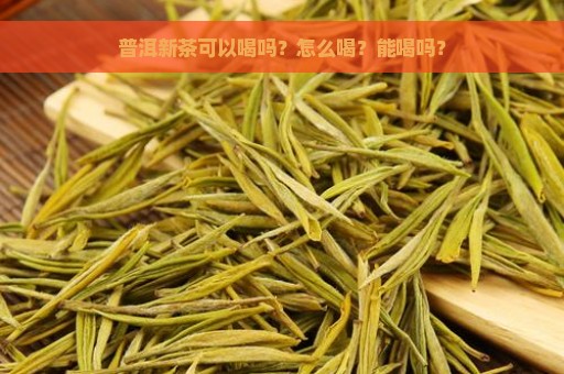 普洱新茶可以喝吗？怎么喝？能喝吗？