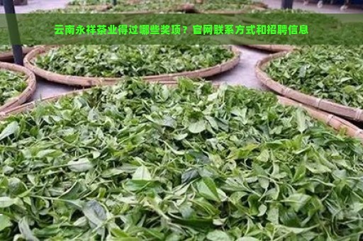 云南永祥茶业得过哪些奖项？官网联系方式和招聘信息