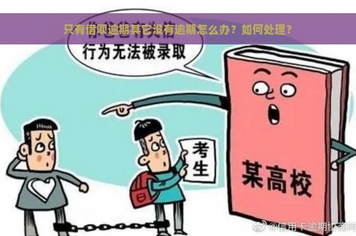 只有借呗逾期其它没有逾期怎么办？如何处理？