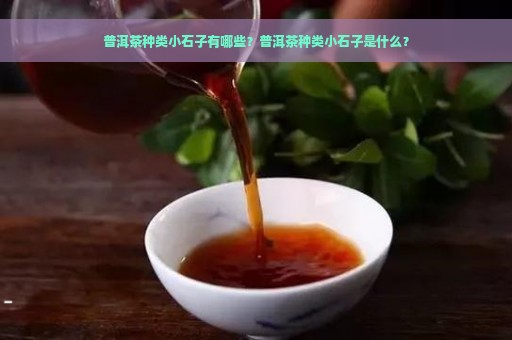 普洱茶种类小石子有哪些？普洱茶种类小石子是什么？