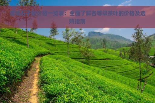 普洱石子茶价格一览表：全面了解各等级茶叶的价格及选购指南