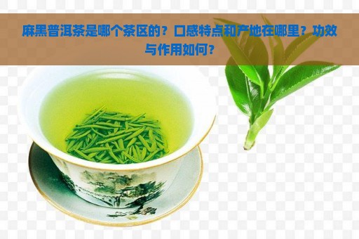 麻黑普洱茶是哪个茶区的？口感特点和产地在哪里？功效与作用如何？