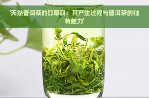 '天然普洱茶的醇厚润：其产生过程与普洱茶的独特魅力'