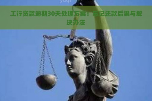 工行贷款逾期30天处理方案：忘记还款后果与解决办法