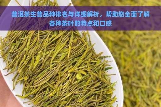 普洱茶生普品种排名与详细解析，帮助您全面了解各种茶叶的特点和口感