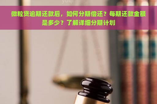 微粒贷逾期还款后，如何分期偿还？每期还款金额是多少？了解详细分期计划