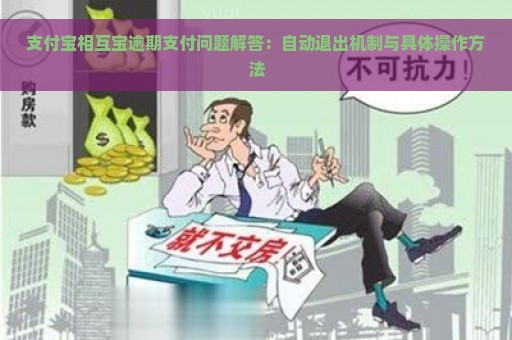 支付宝相互宝逾期支付问题解答：自动退出机制与具体操作方法